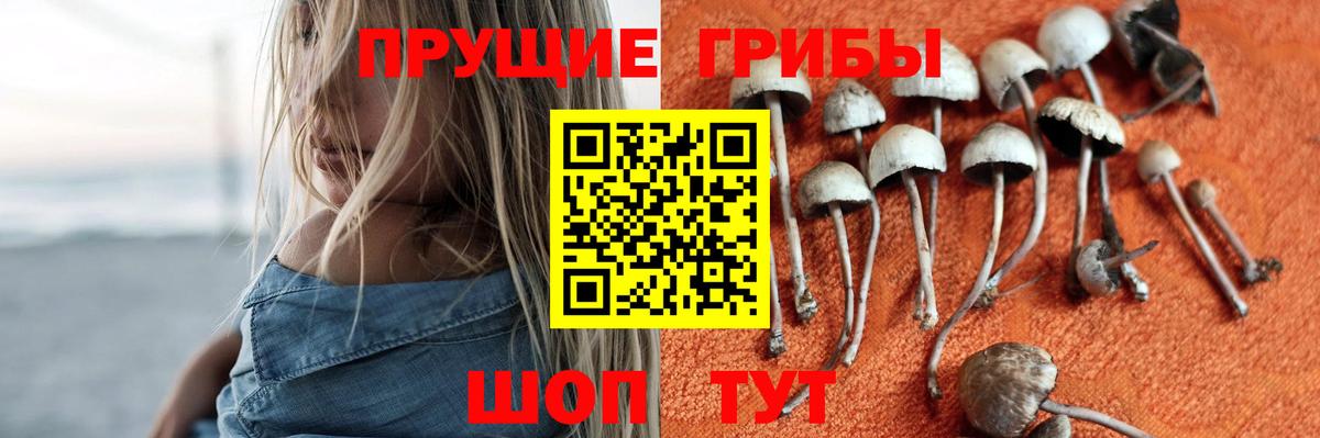 Москва  Псилоцибиновые грибы мицелий  Галлюциногенные грибы MAGIC MUSHROOMS  Вход с VPN 